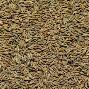 Cumin Seed