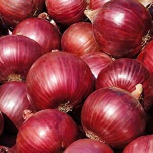 Fresh Red Onion